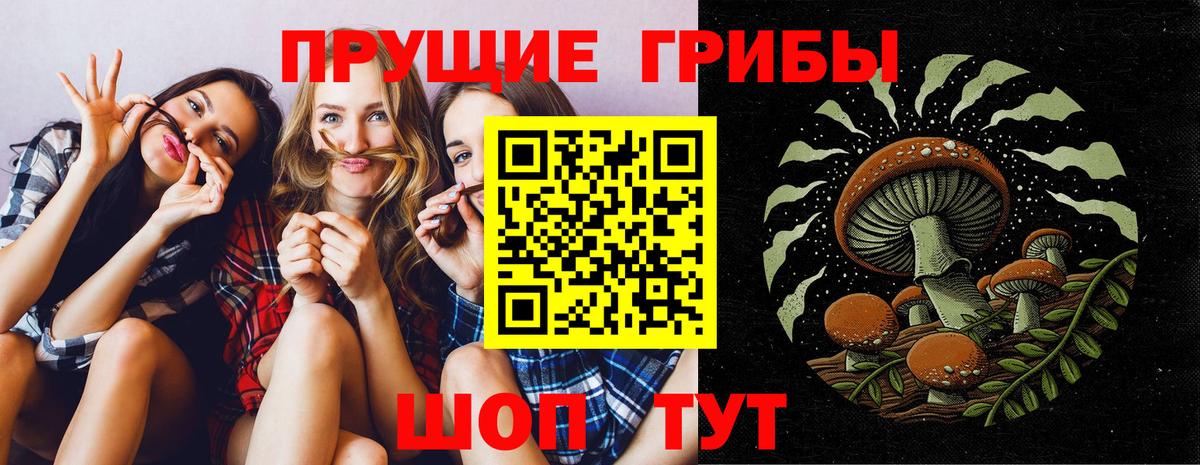 Псилоцибиновые грибы ЛСД Канск