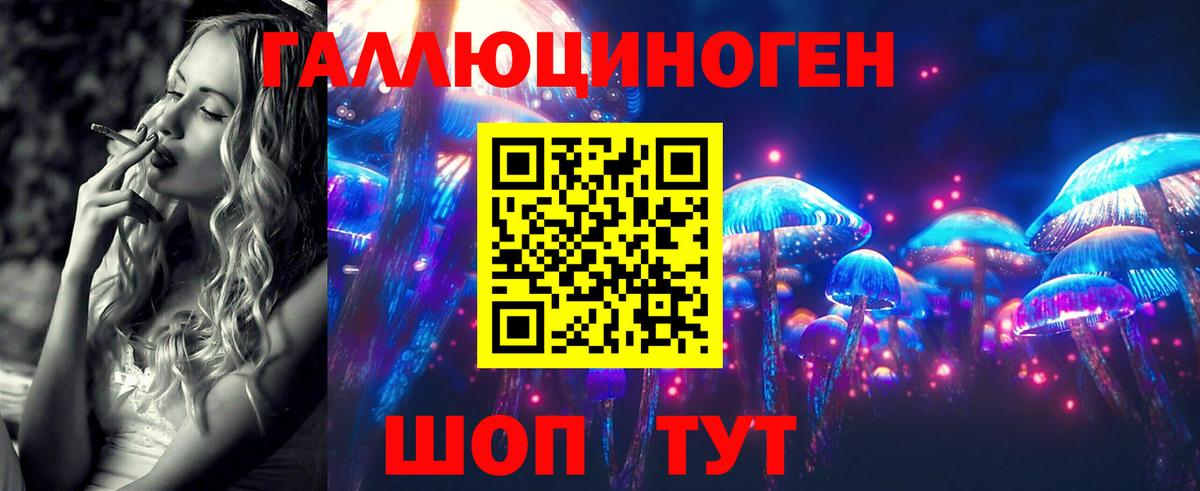 купить закладку  Вход с VPN  Канск  Псилоцибиновые грибы Magic Shrooms 